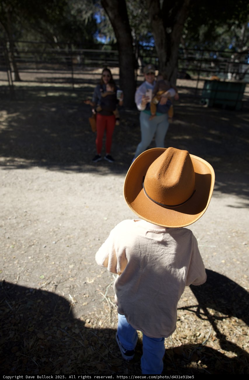 Little Cowboy Adventures
