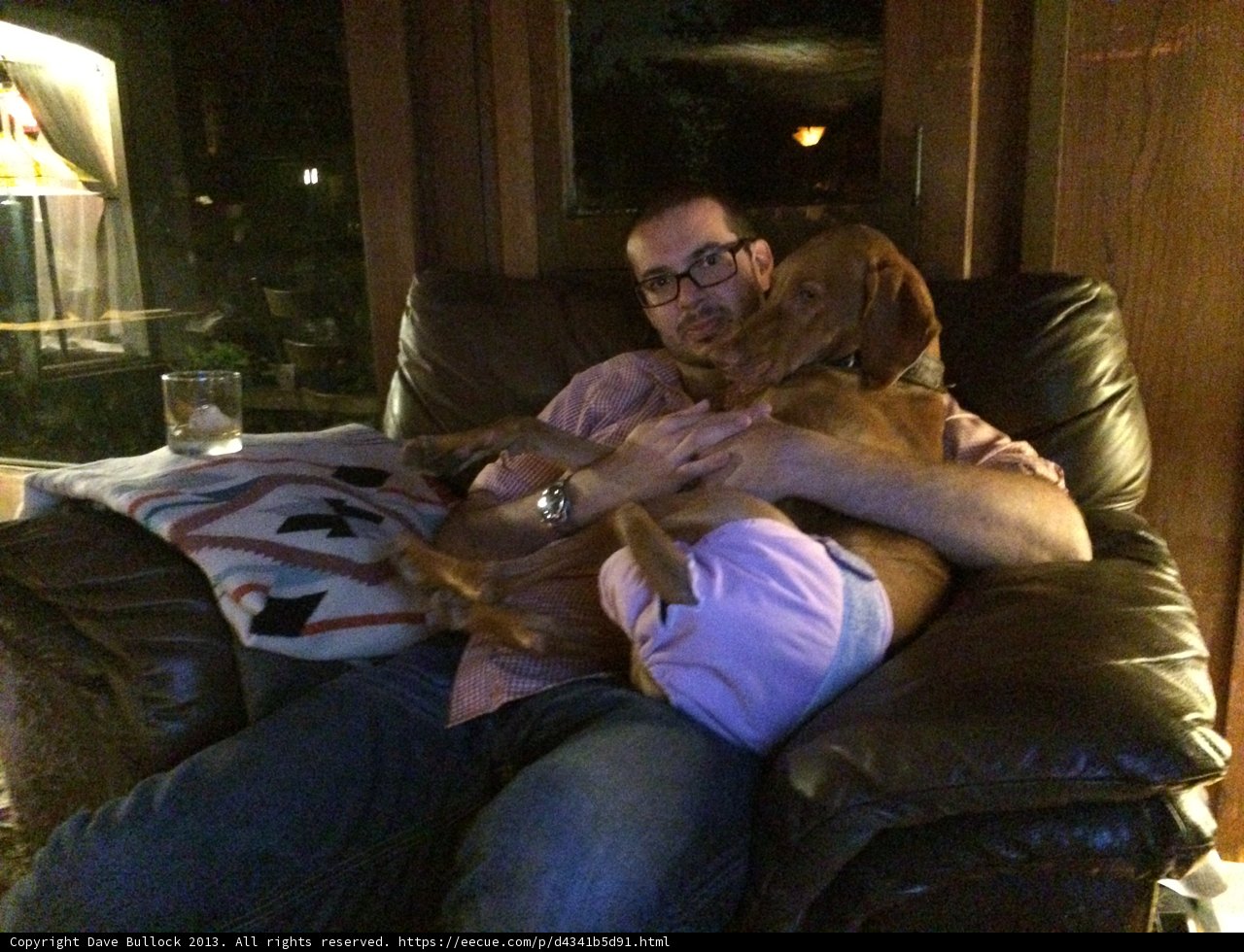 Man and Dog Lounge on Couch in Altadena Home