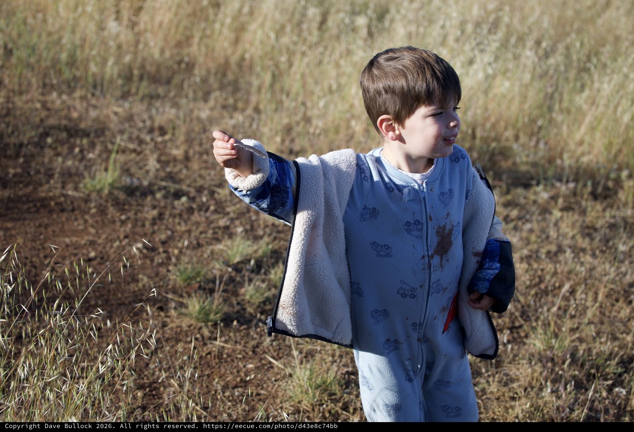 Young Boy Exploring the Golden Hills of Mt. Diablo