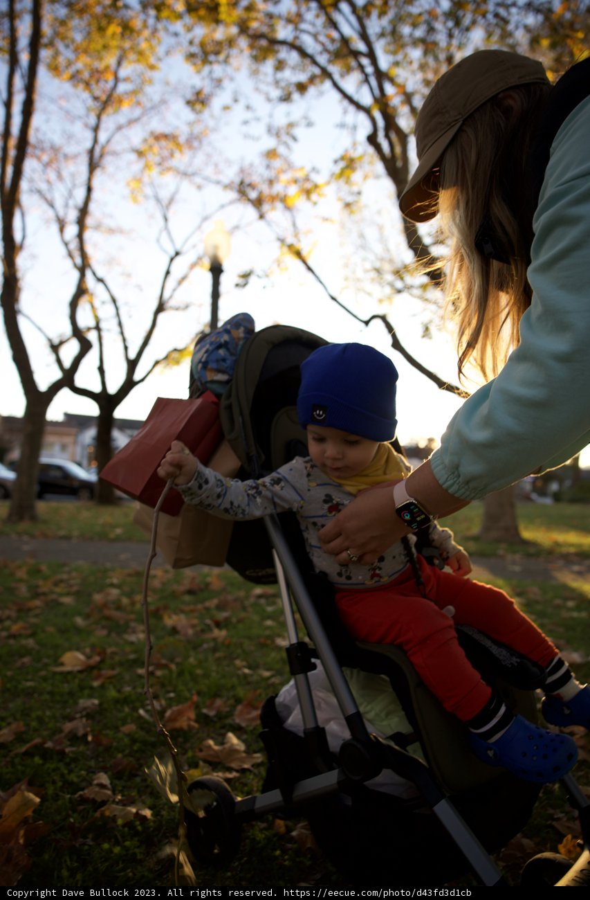 Cherished Moments in Downtown Sonoma