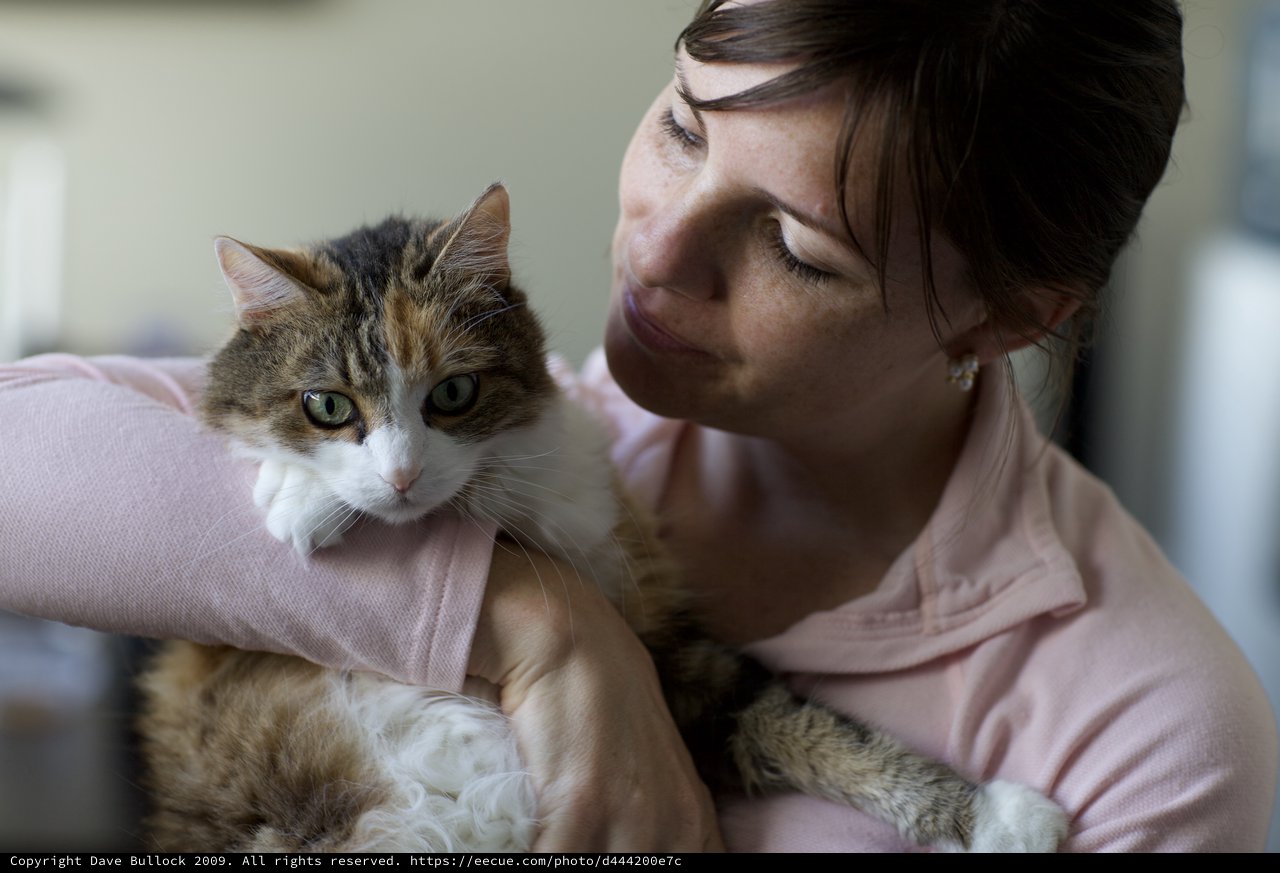 Tender Moment Between Woman and Tabby Cat