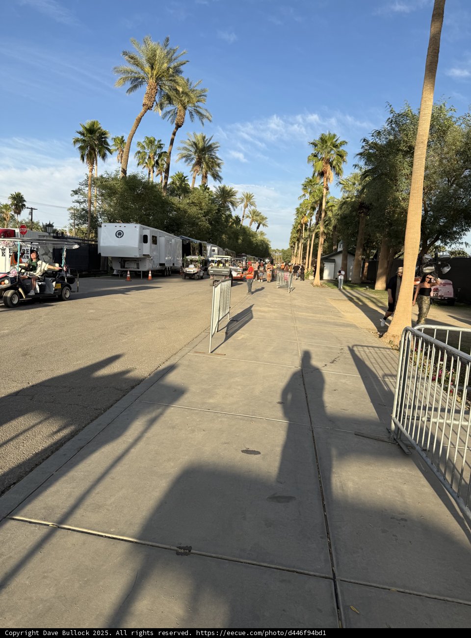Strolling Under Palm Shadows