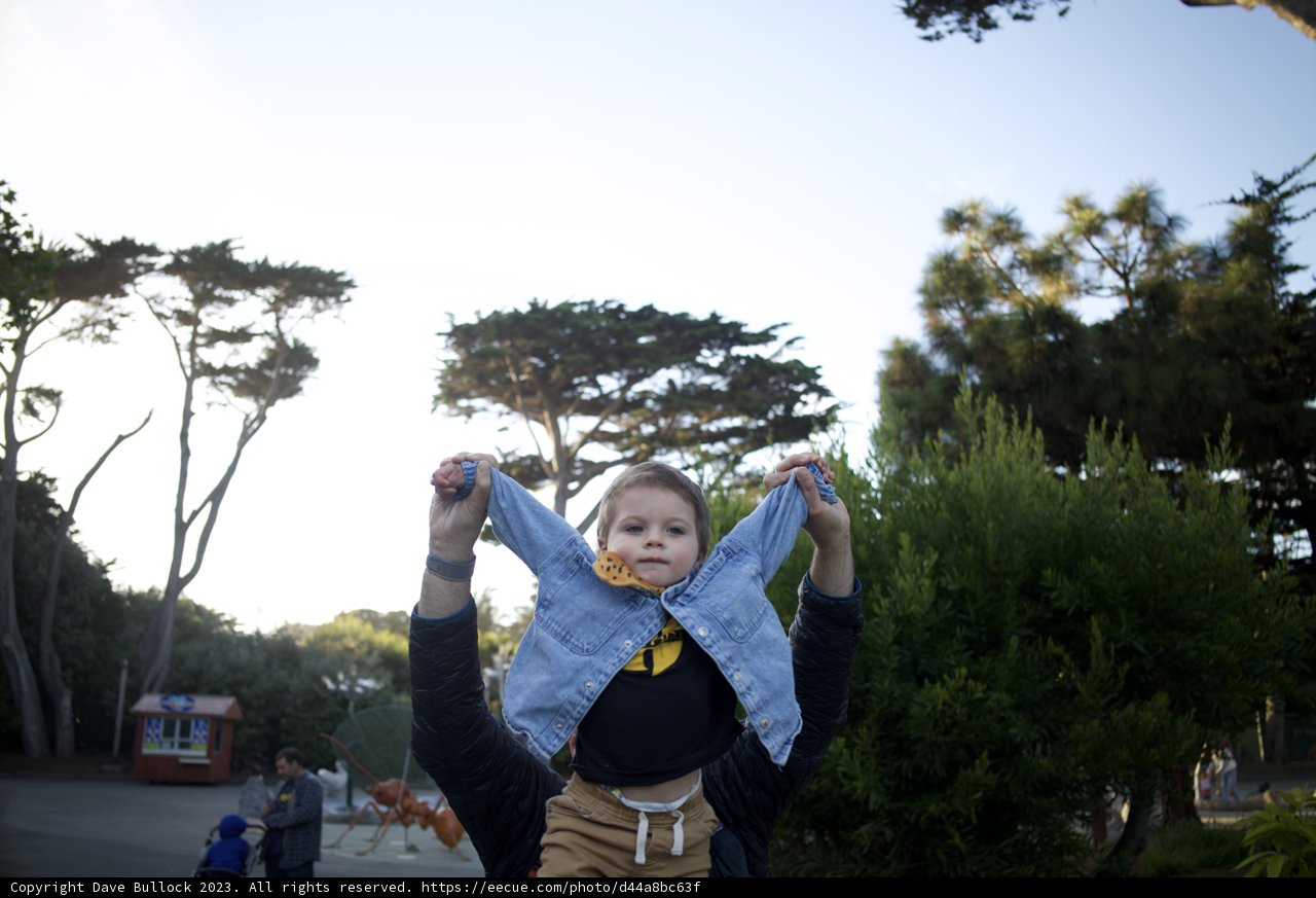 Sky-High Laughter at the SF Zoo