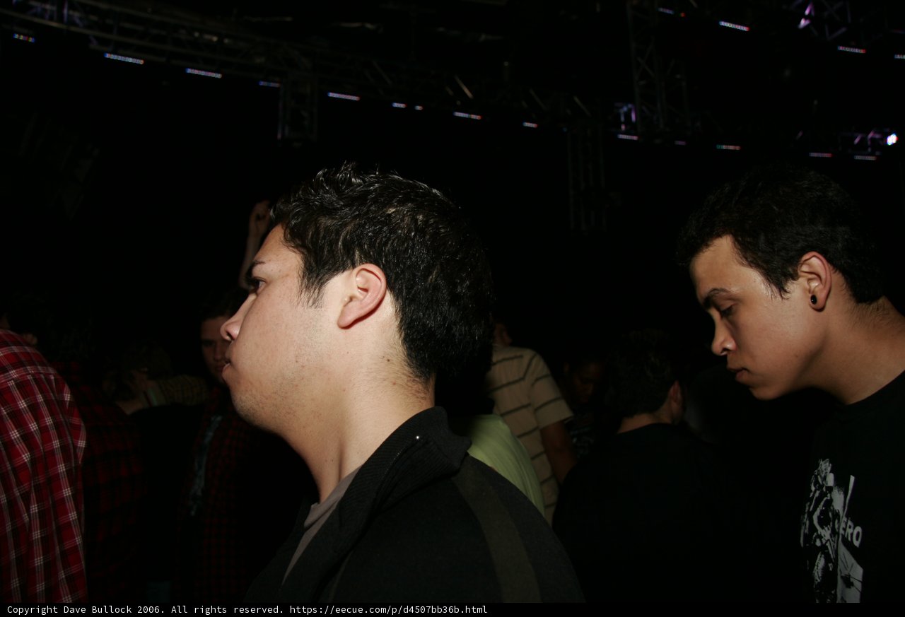 Nightclub Crowd