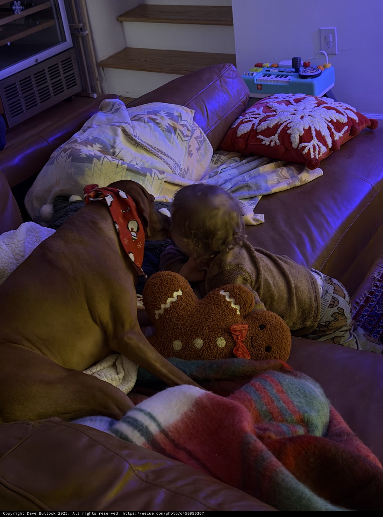 Peaceful Bedtime Routine with Child and Pet Cat