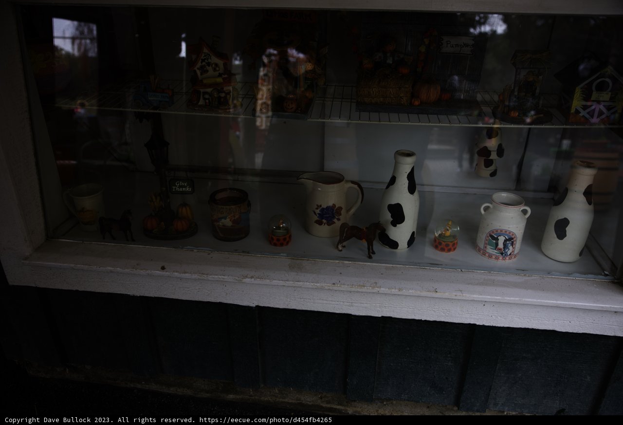 Eclectic Treasures of Half Moon Bay