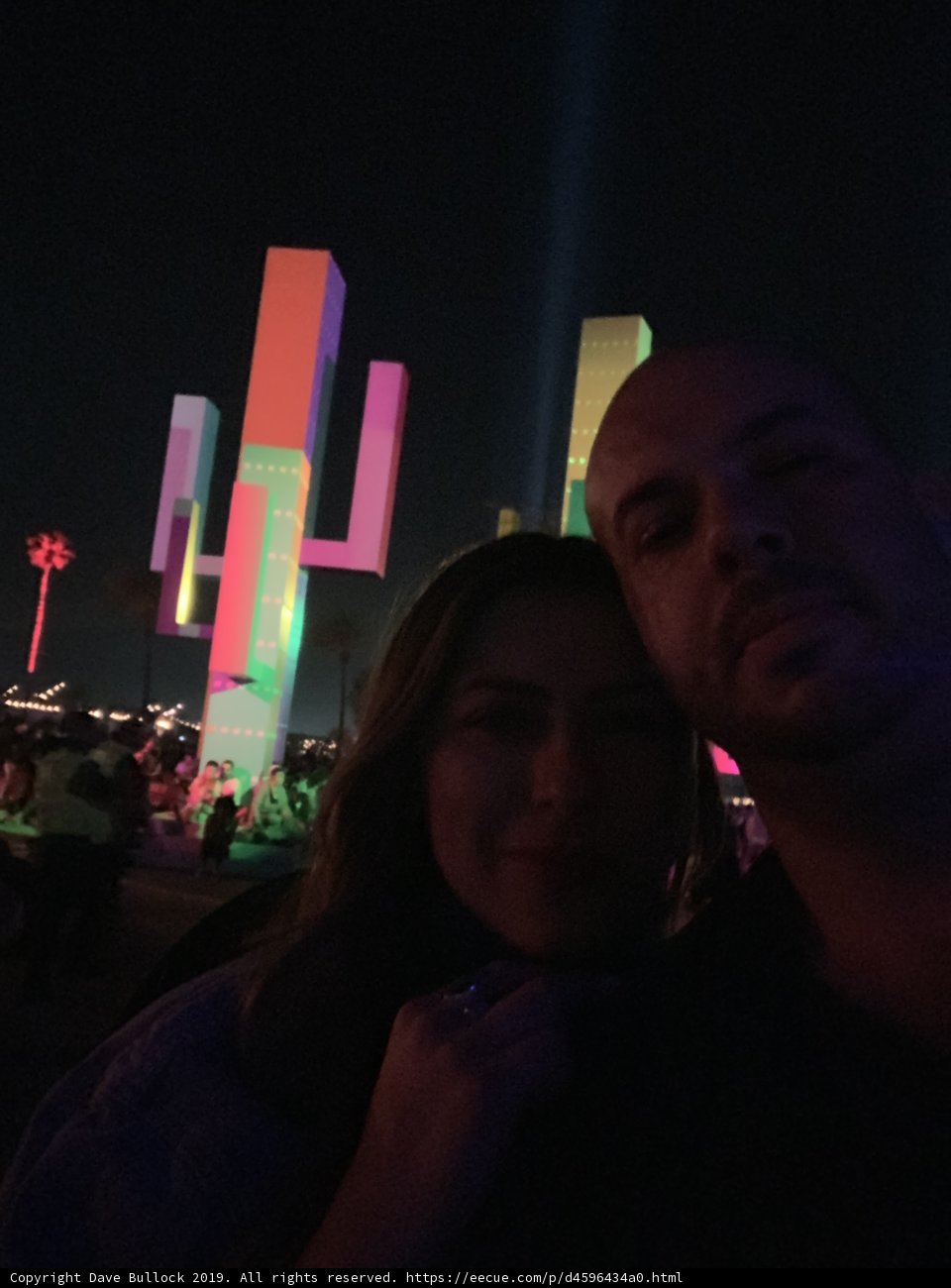 Desert Snapshot