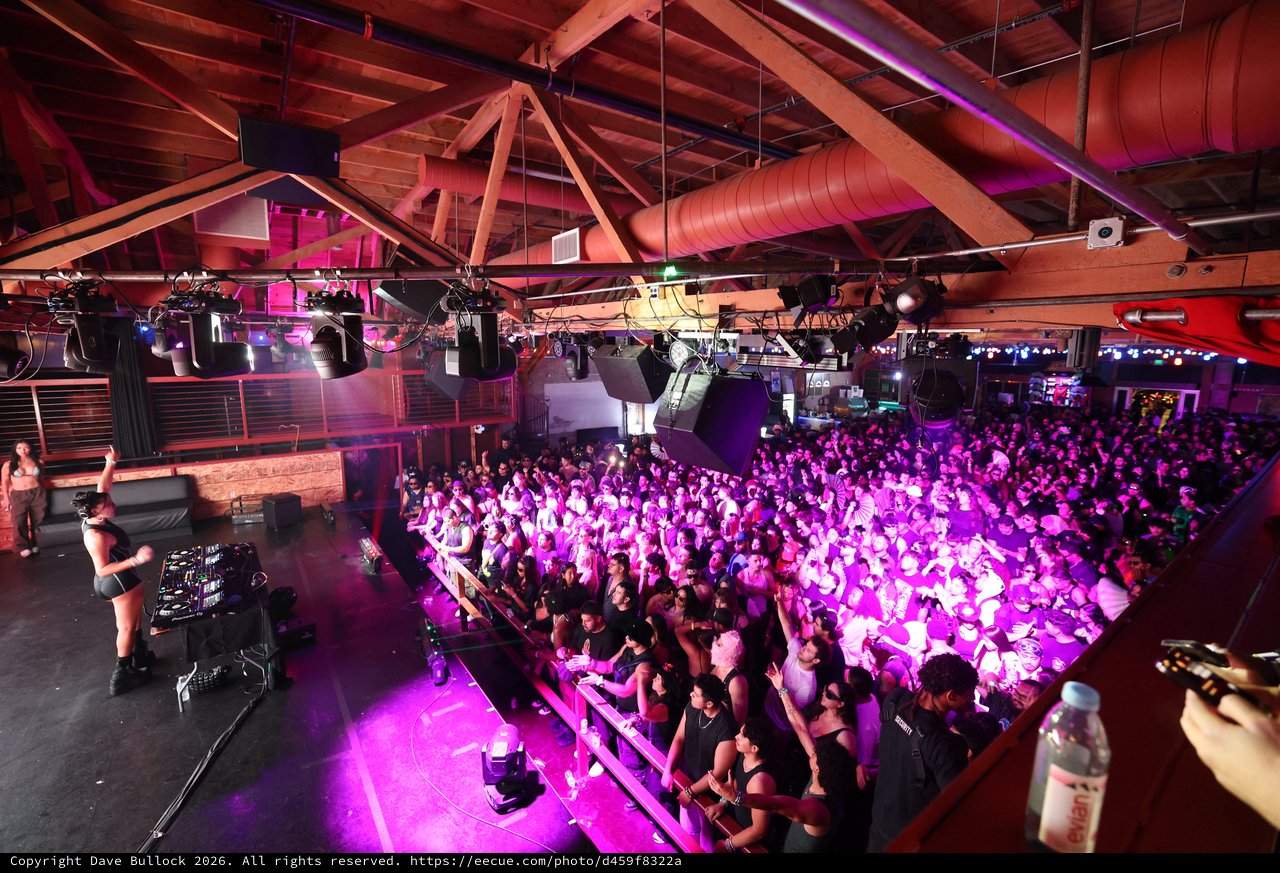 DJ Electrifies Packed Dance Floor at Wobbleland 2026
