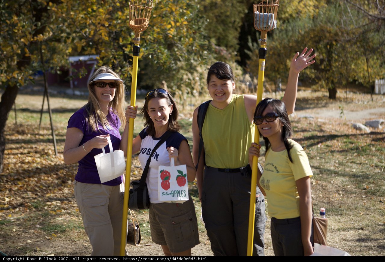 Four Women Enjoying a Sunny Day in the Park