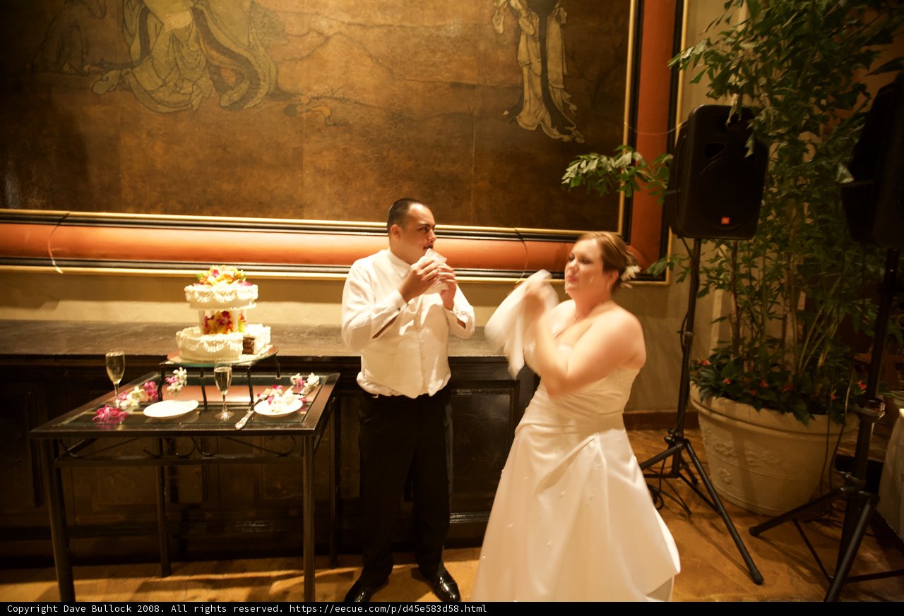 Wedding Reception