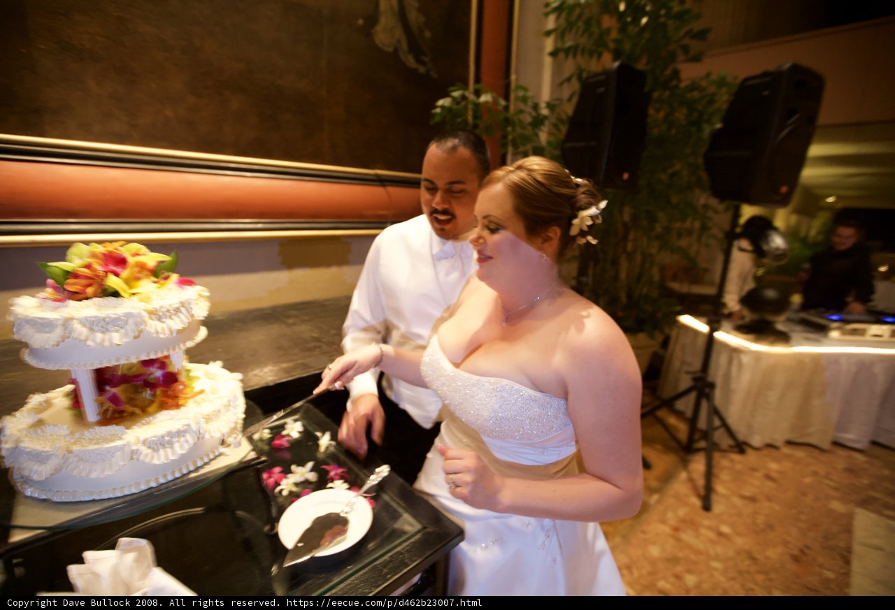 Cutting the Wedding Cake