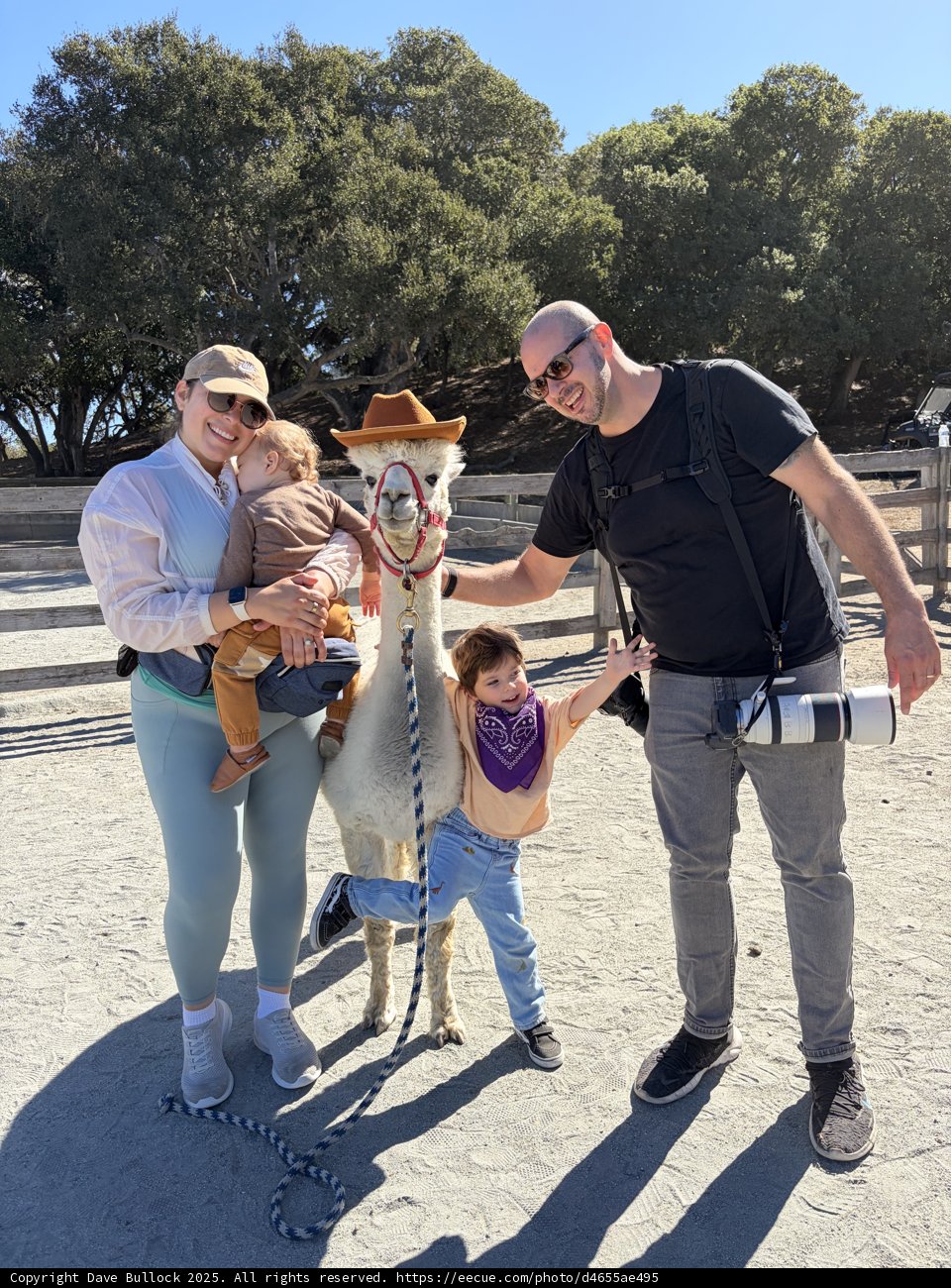 Family Fun in the Sun