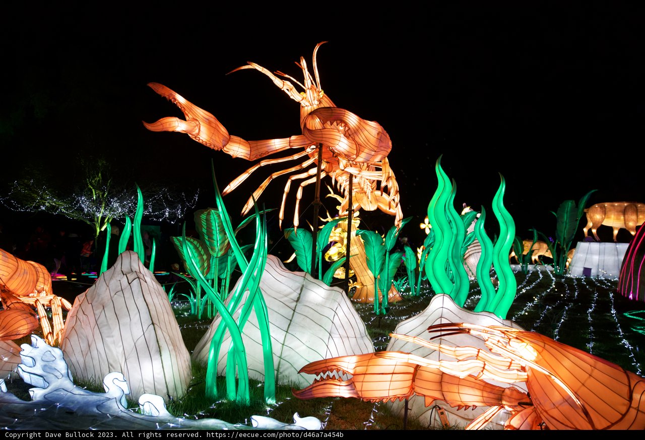 Shimmering Sea Creatures at Glowfari Oakland Zoo 2023