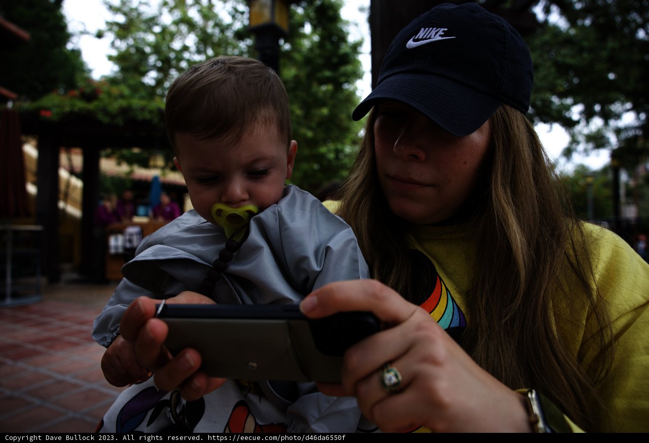 Magical Moments at Disneyland