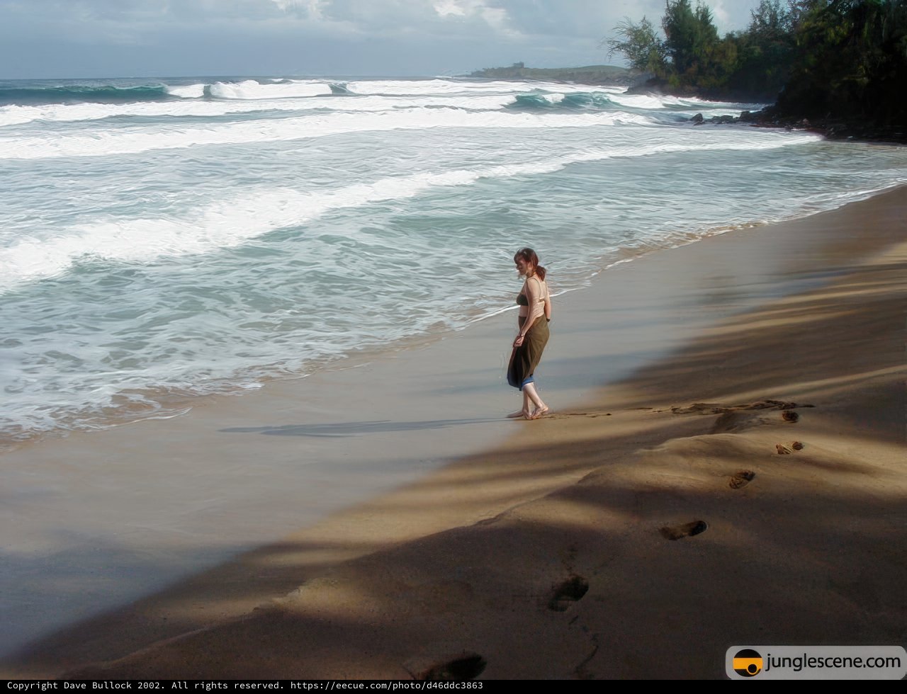 Barefoot Beach Stroll