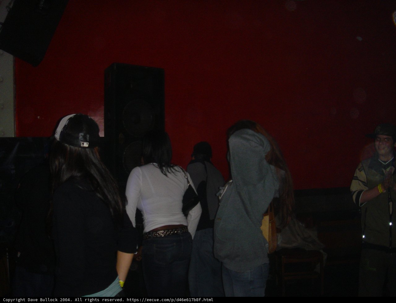 Nightclub Vibes