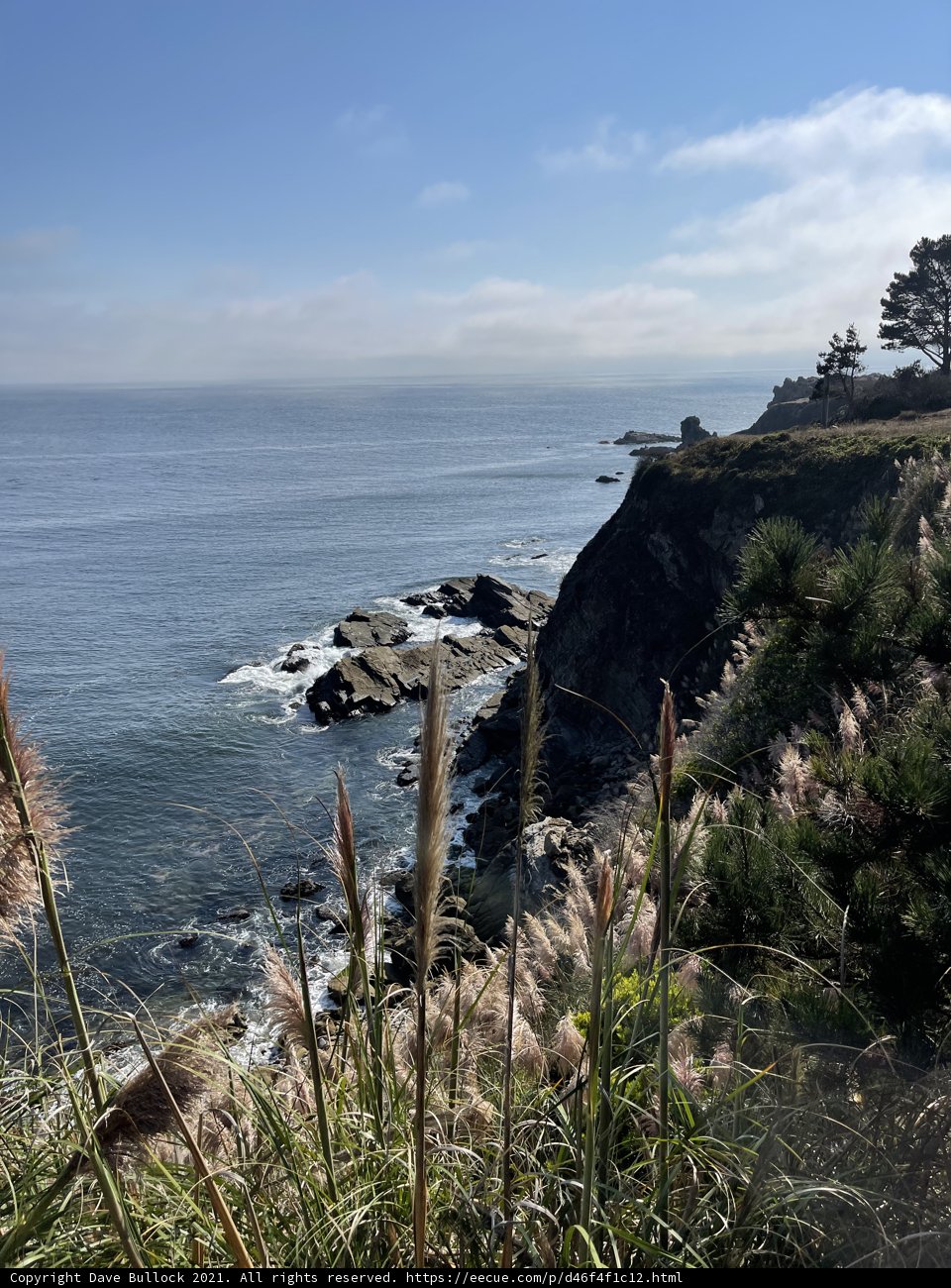Promontory Overlooking the Majestic Ocean
