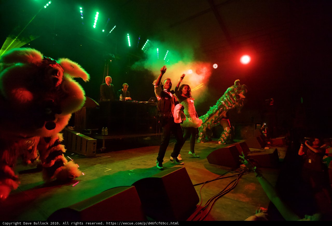 Wild Musical Performance