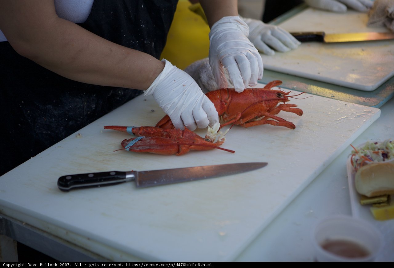 Lobster Cutting