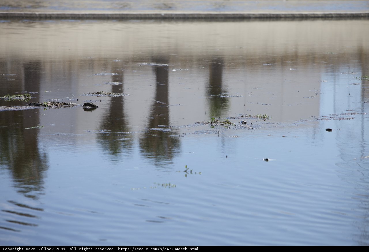 Serenity on the Water