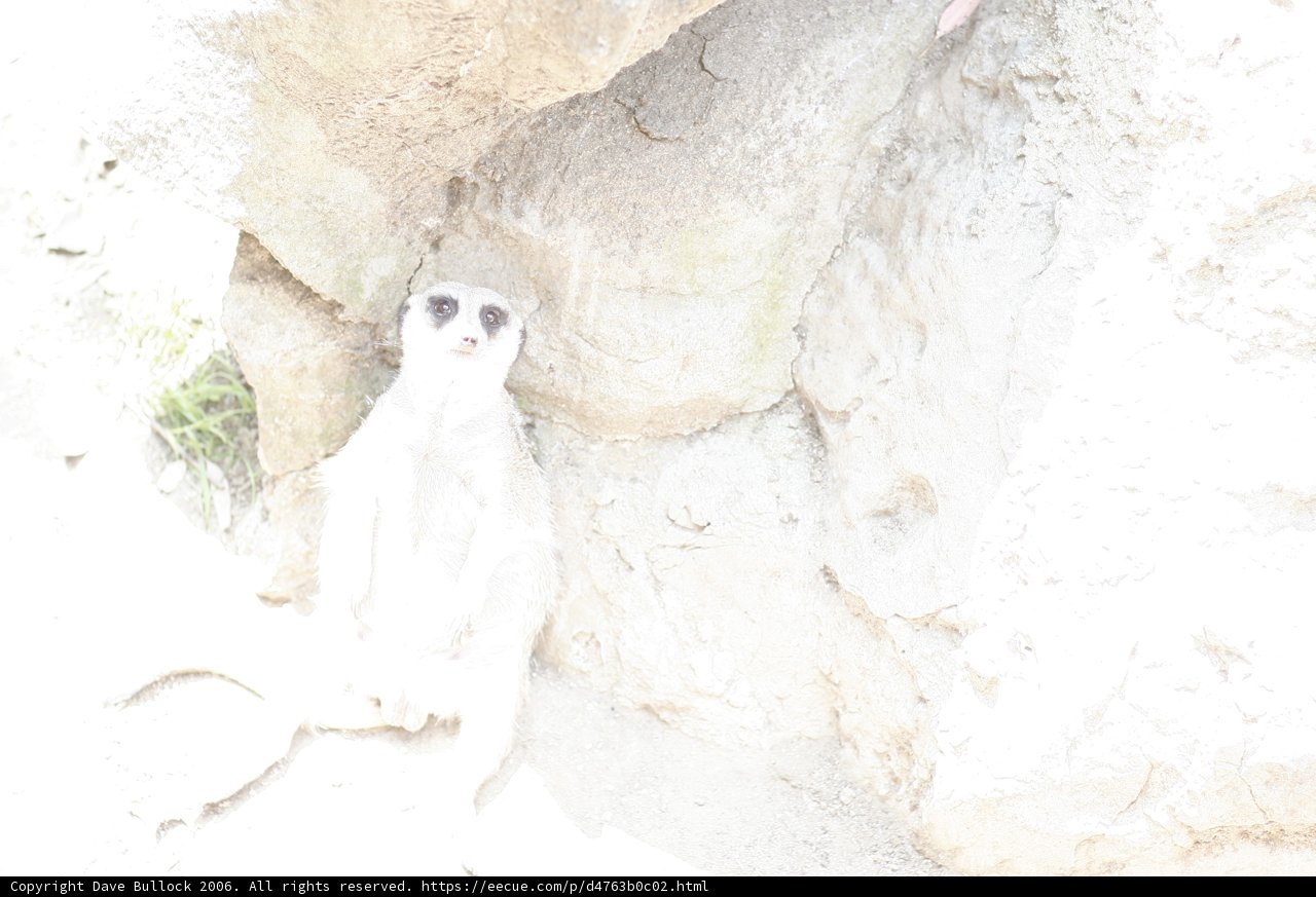 The Formal Meerkat
