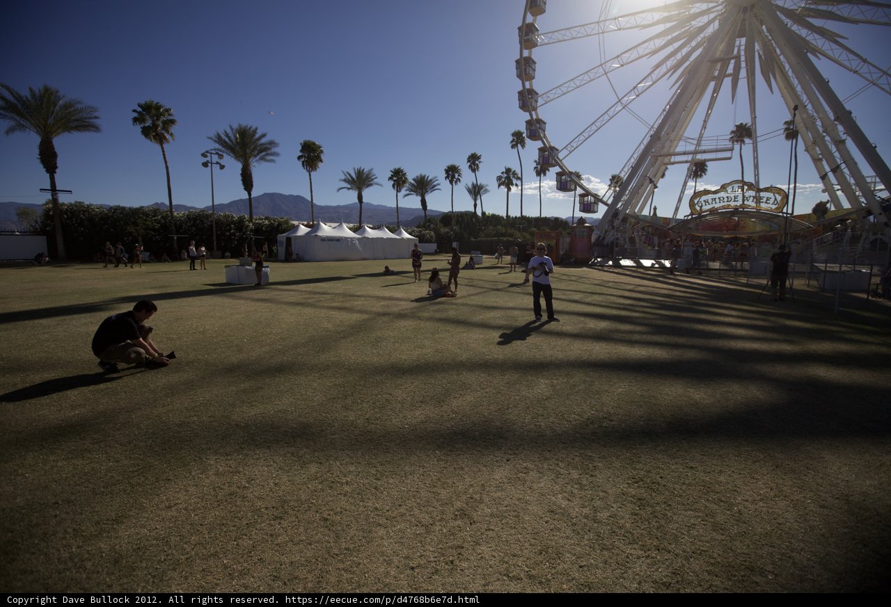 Ferris Wheel Fun at Coachella