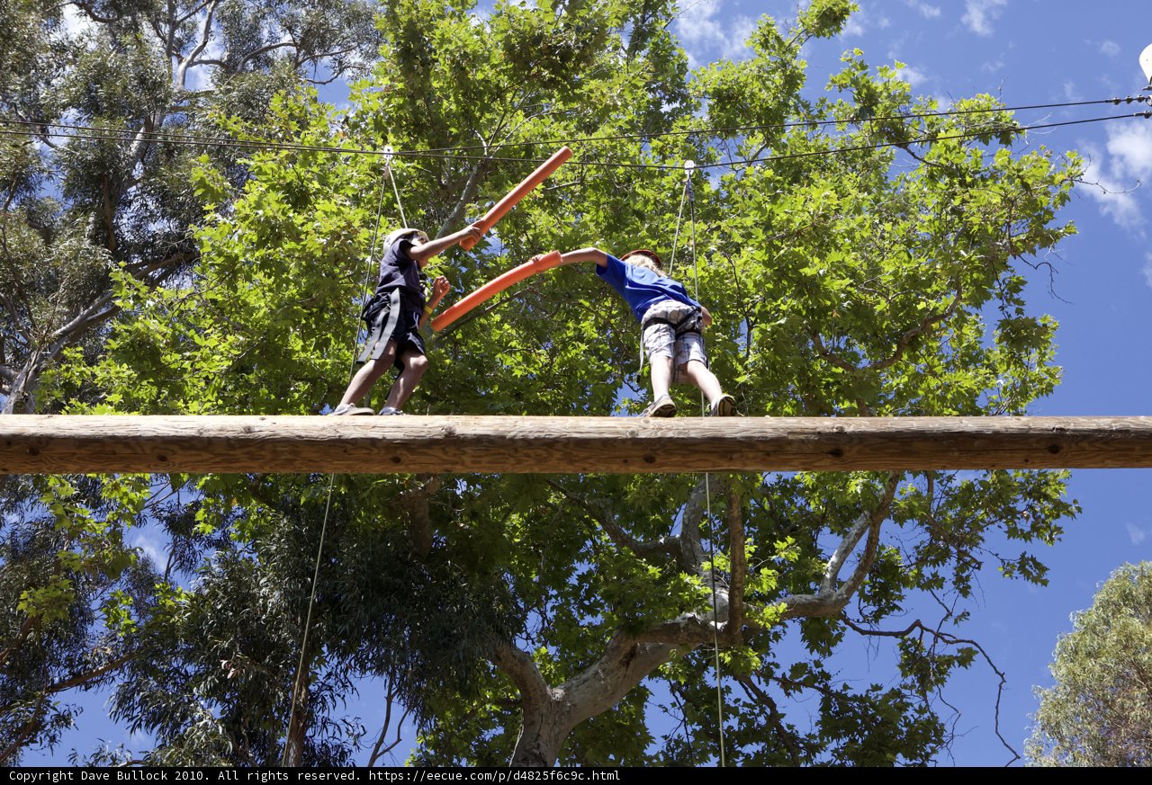 Adventure on the Rope Bridge
