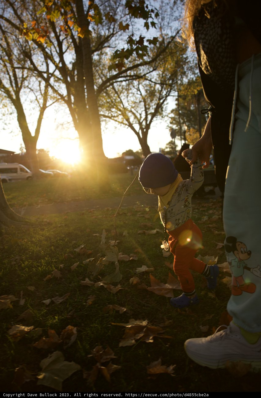 Timeless Moments in Sonoma