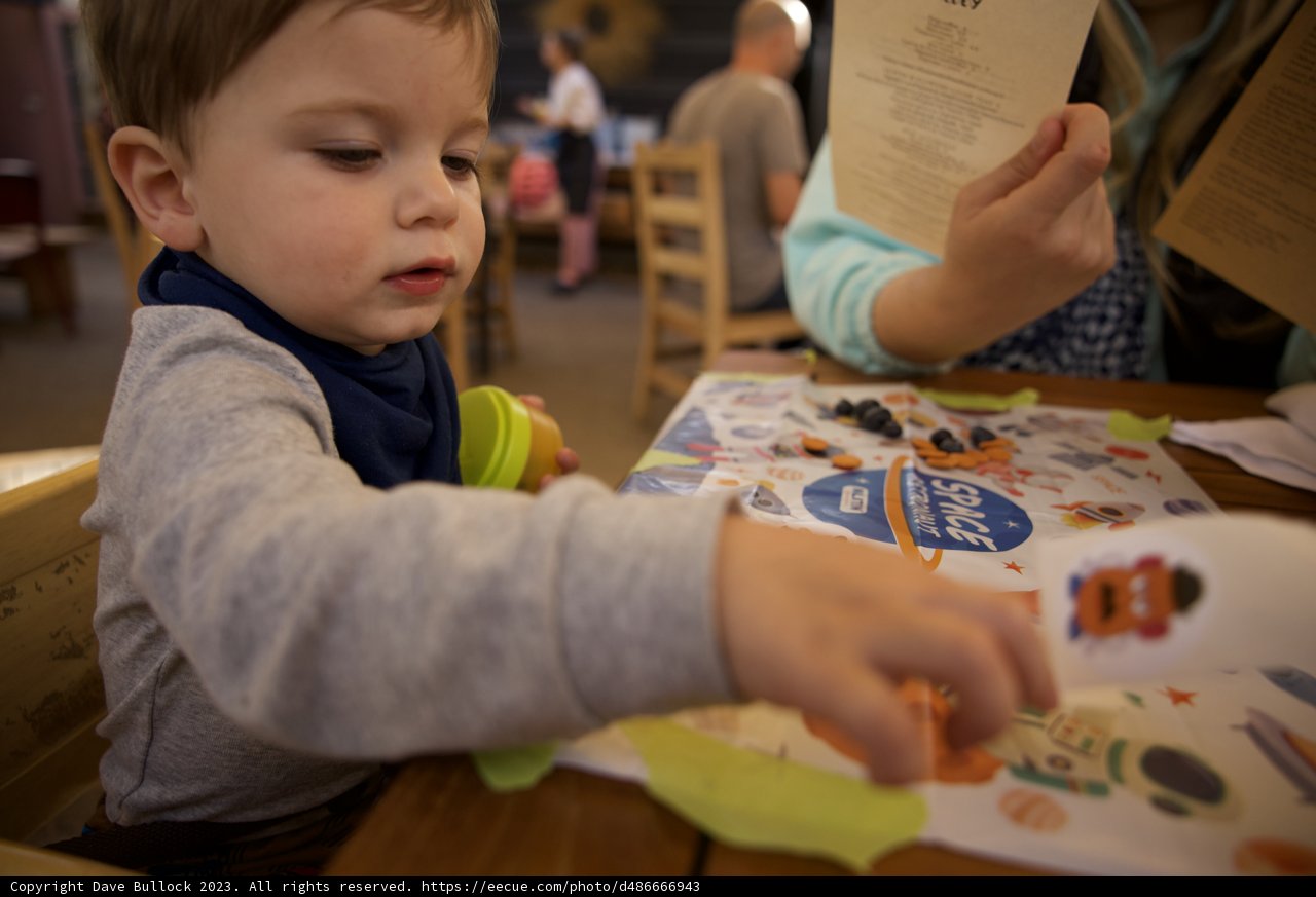Playtime at Downtown Sonoma - A Day in Wesley's Childhood