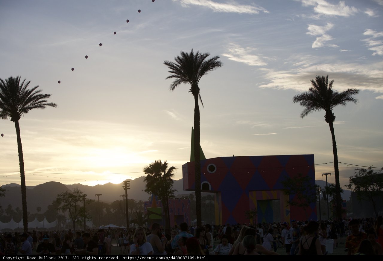 Palm Trees and People at Coachella