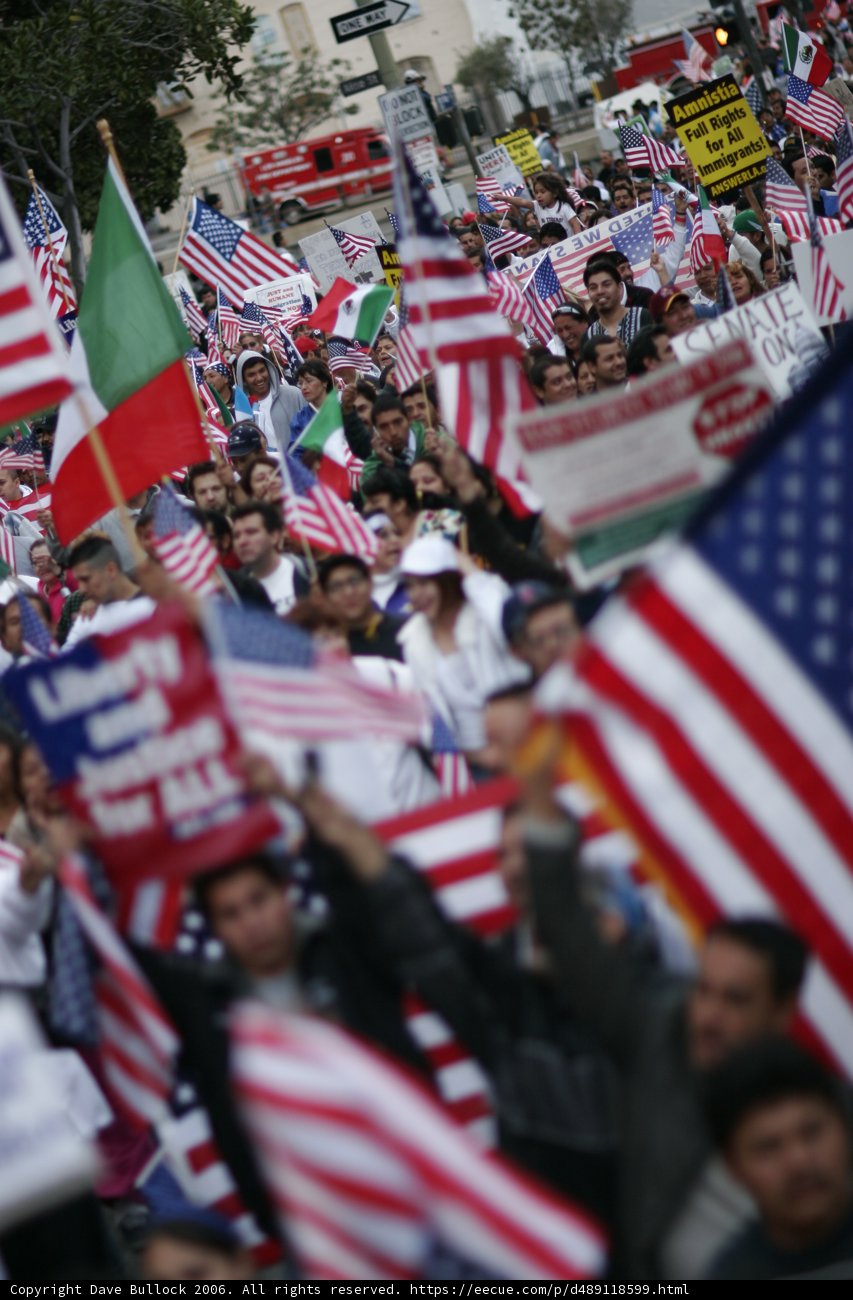 Patriotic Crowd at Parade