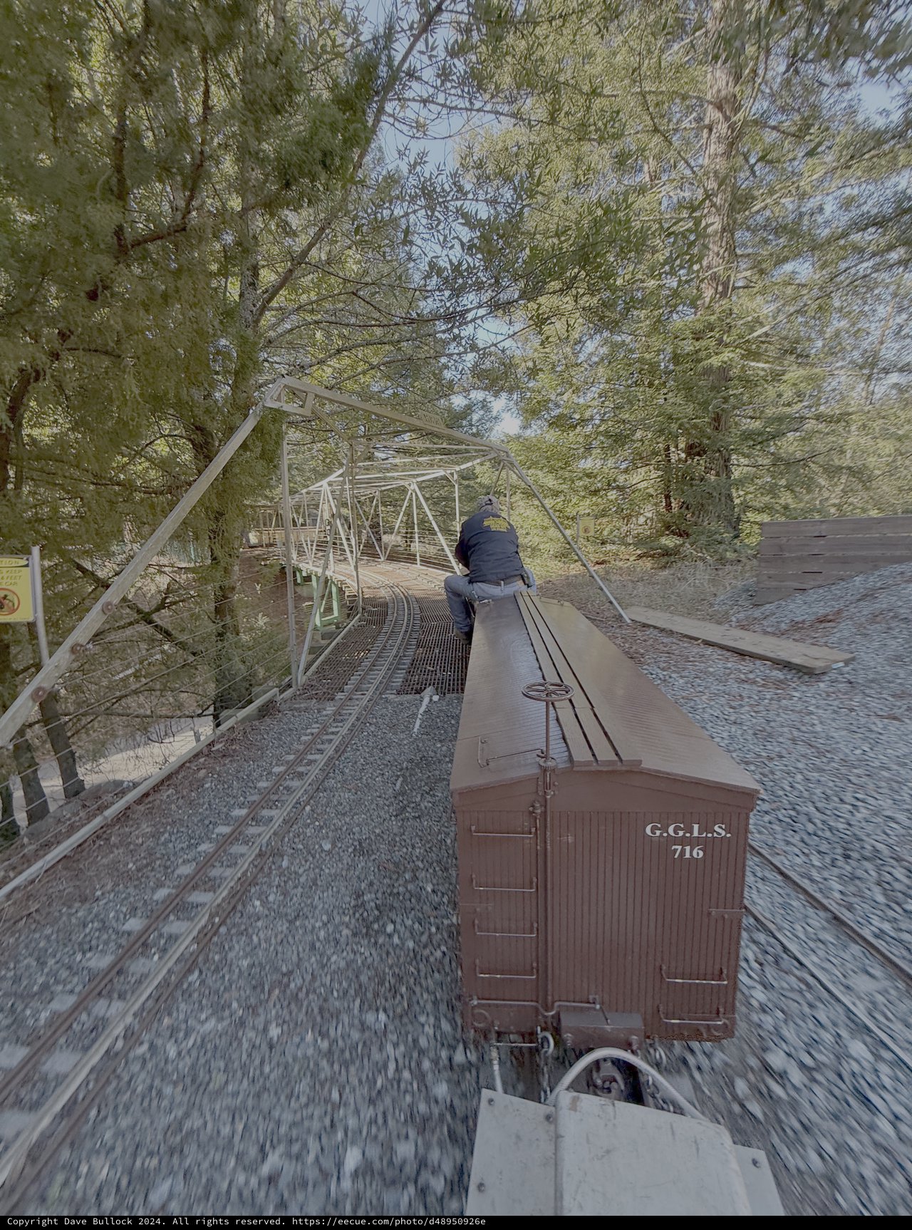 Steam Train Journey Through Forest Bridge