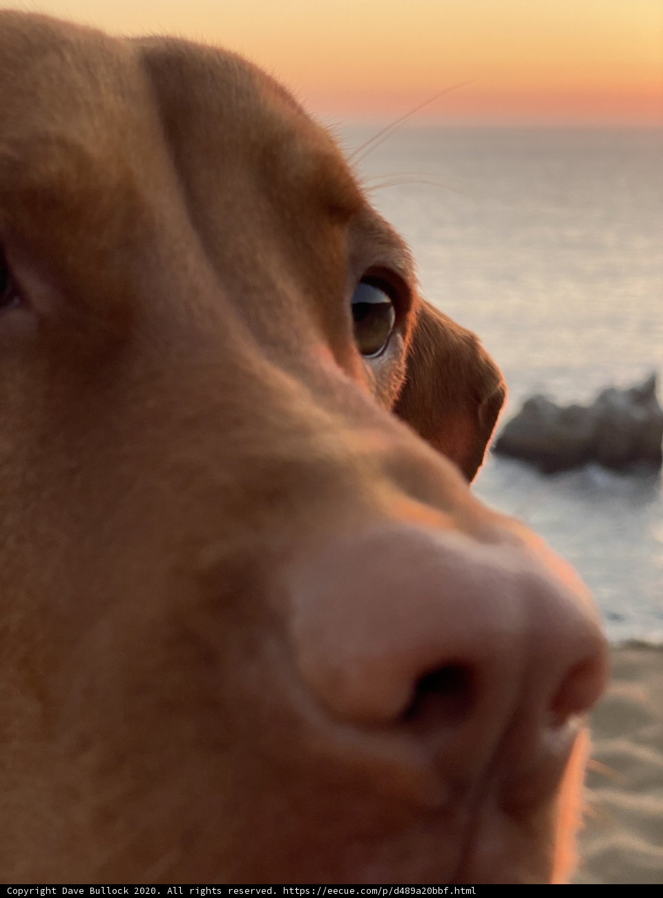 Sunset Reflections