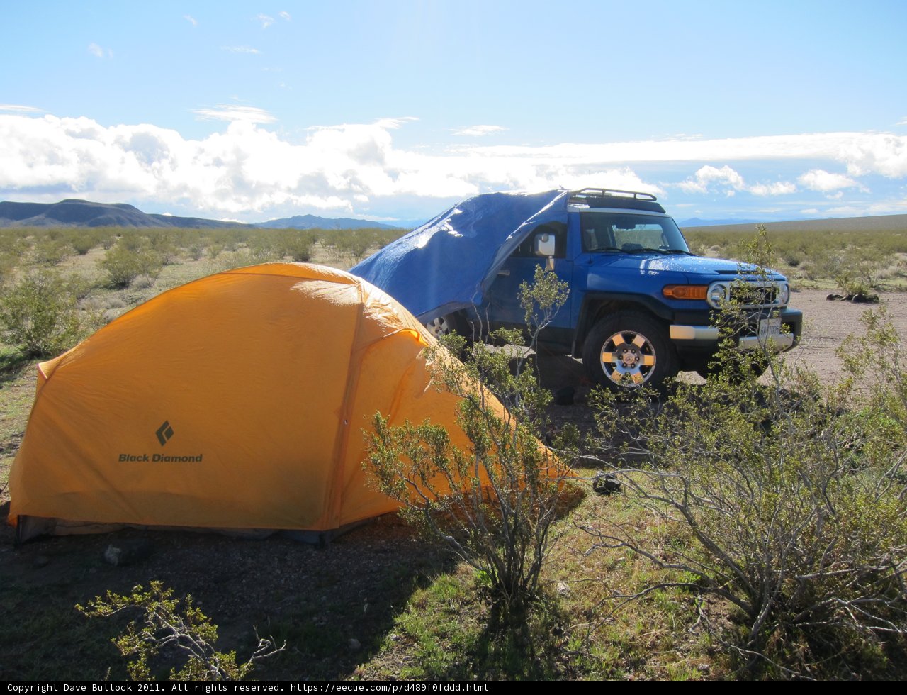Desert Adventure