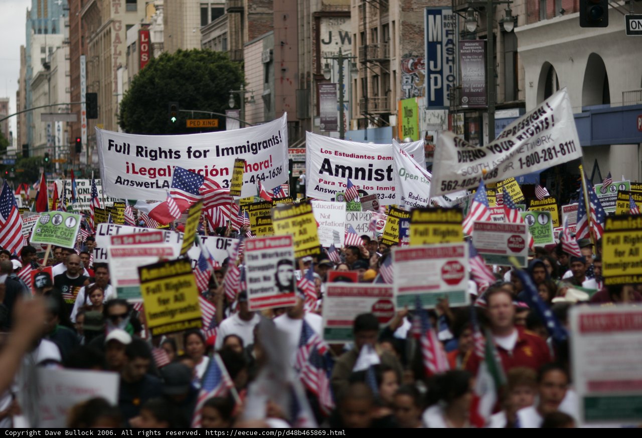 Student Protesters Hold Up Banners and Flags