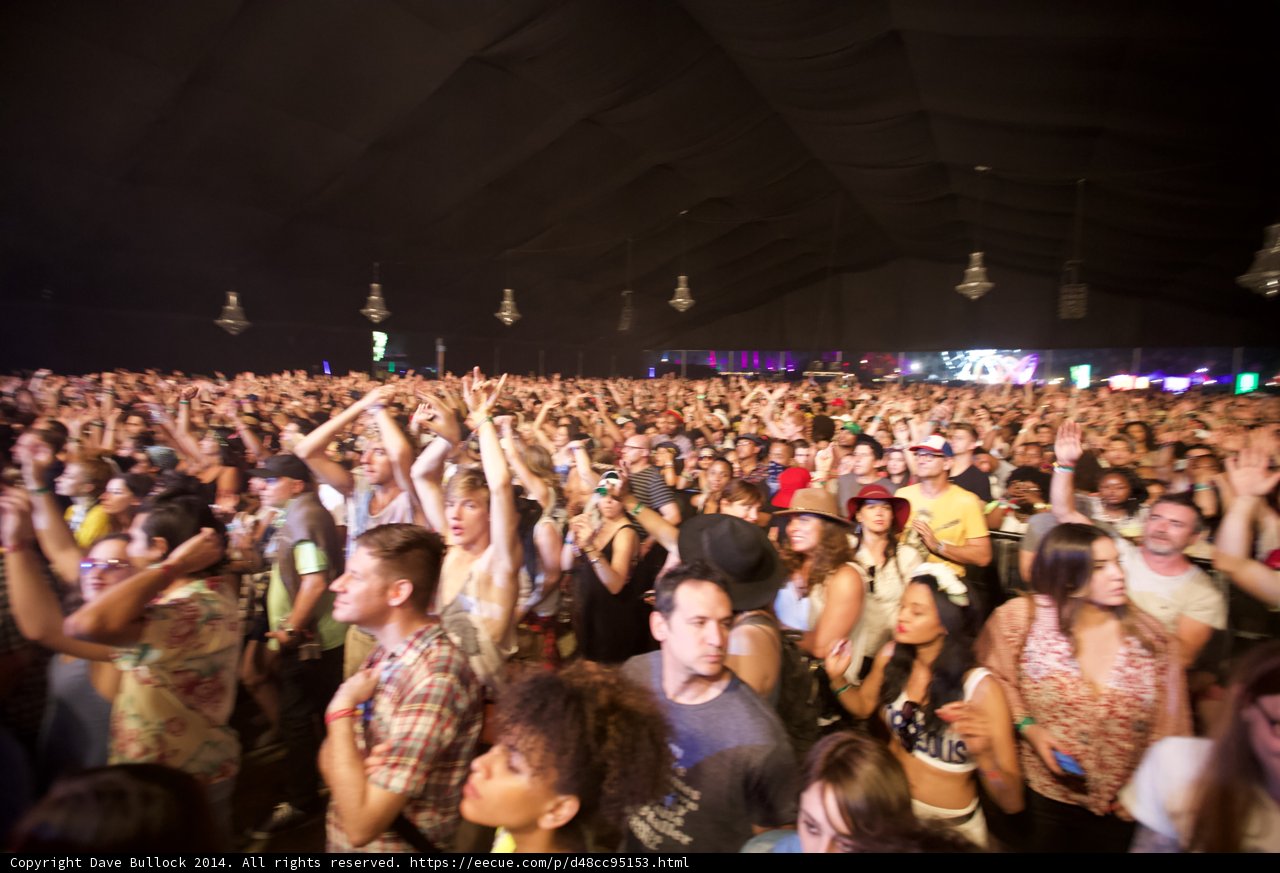 Festival Frenzy
