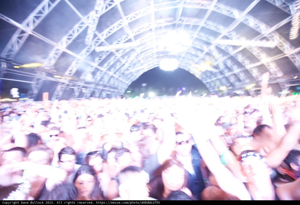 The electrifying crowd at Coachella Music Festival