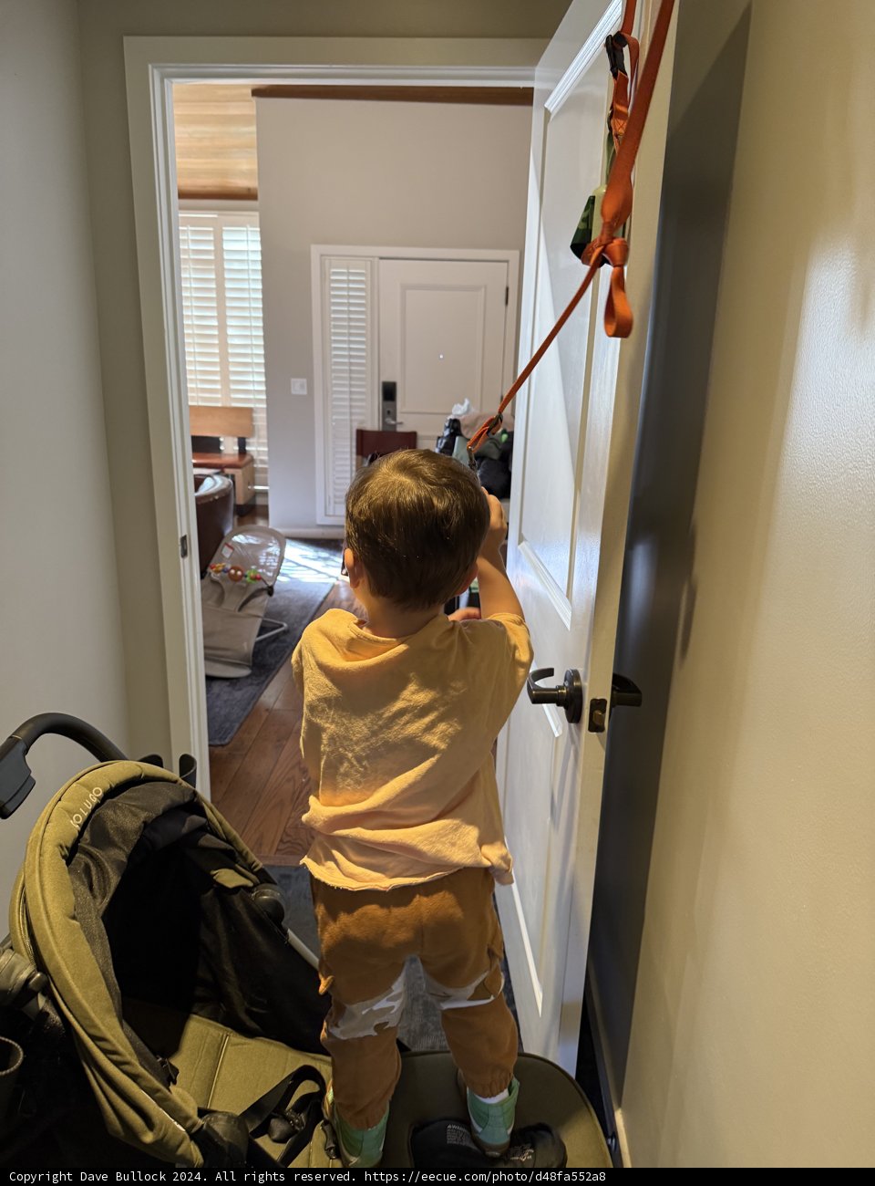 Little Adventurer