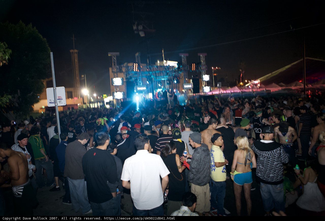 Nocturnal Concert Crowd