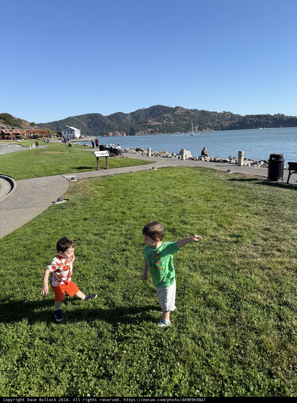 Afternoon Play at Shoreline Park