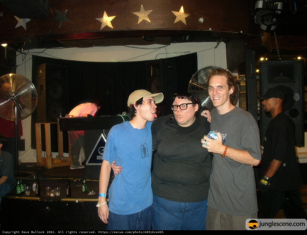 Three Fans Enjoying Live Music
