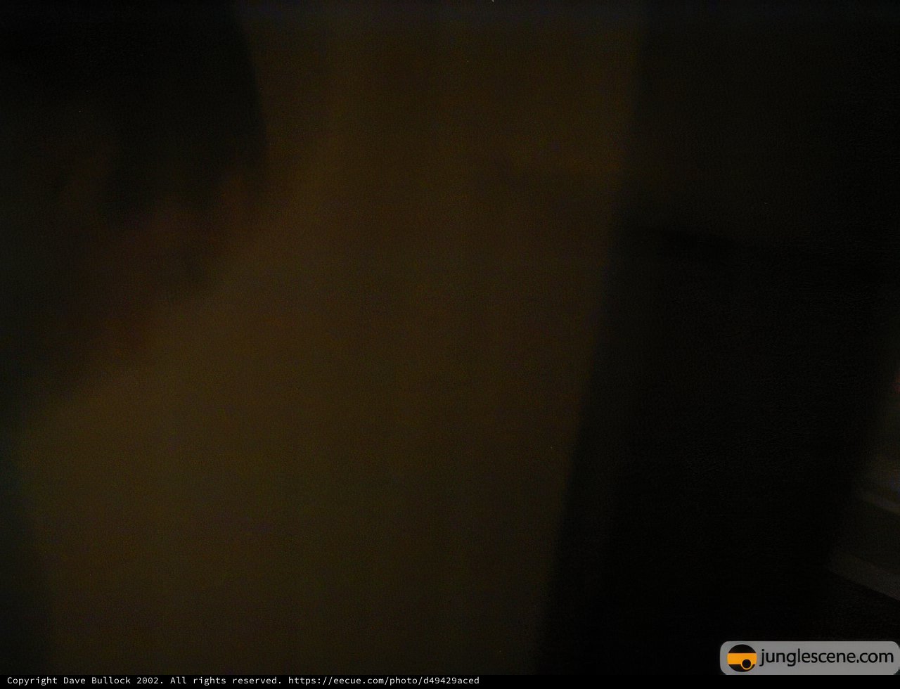 Blurry Reflection in Framed Mirror
