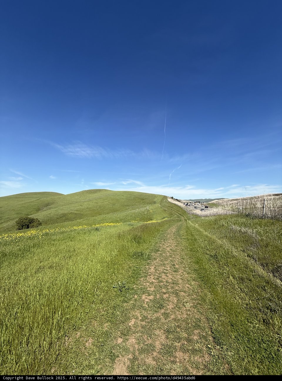 Tranquil Trails of Lime Ridge