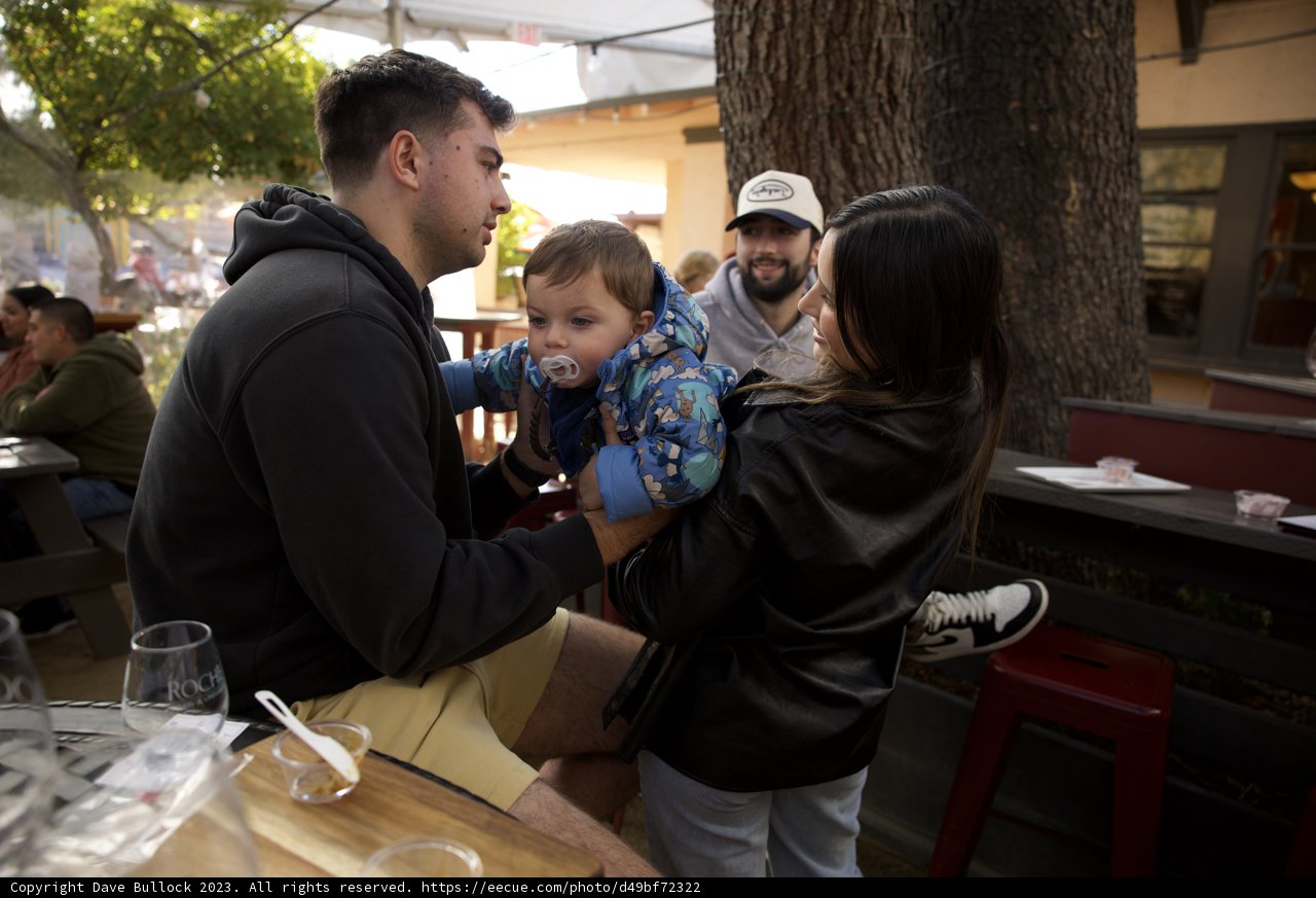 A Day to Cherish in Sonoma