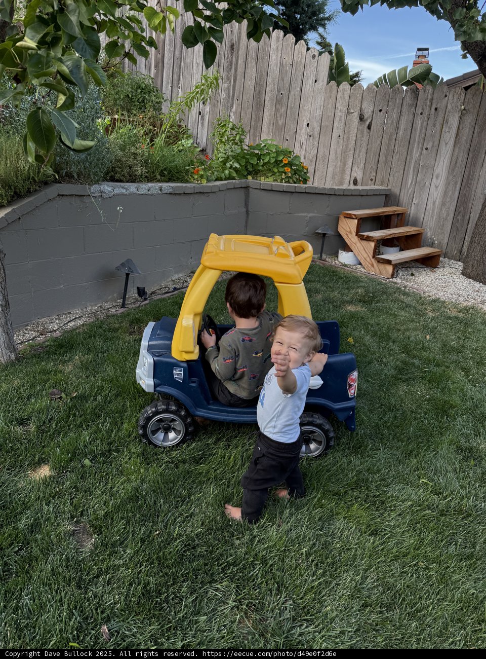 Backyard Adventures