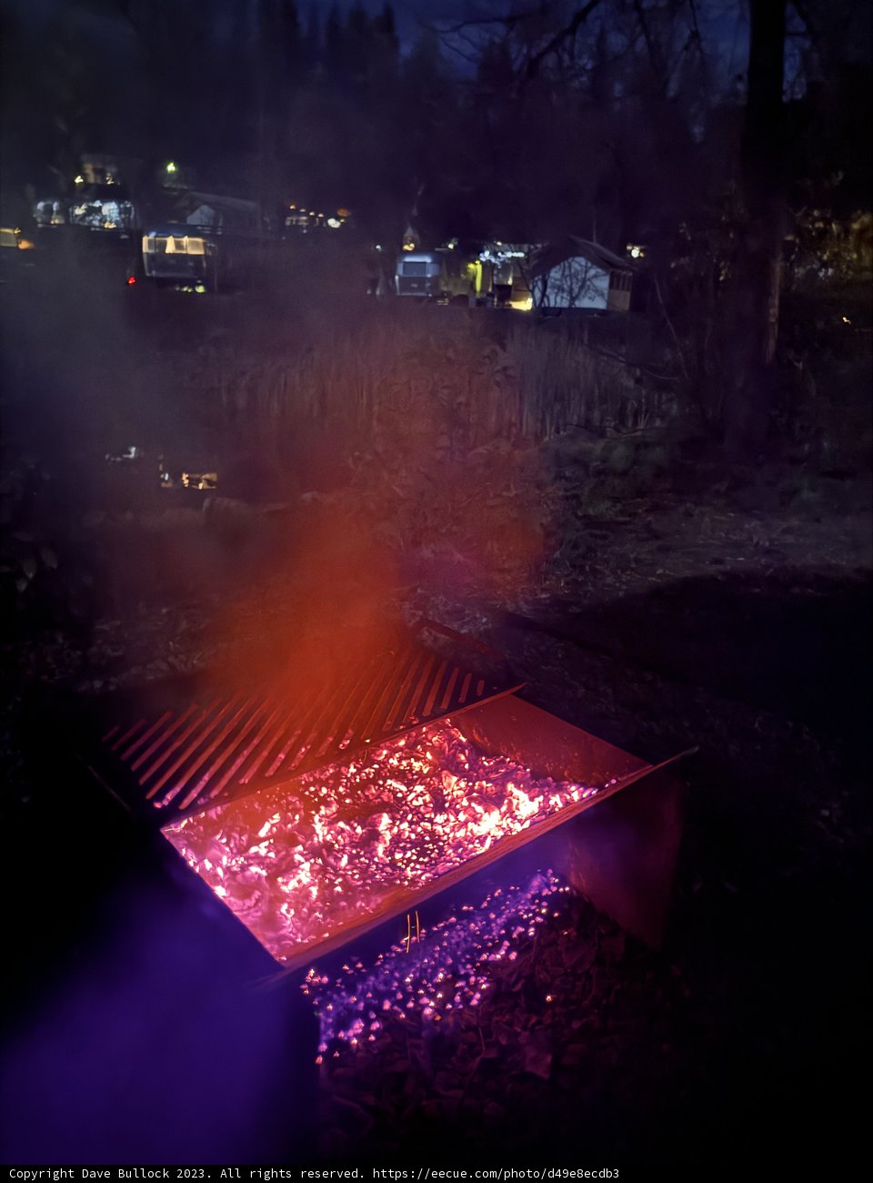 Epic BBQ Under the Stars