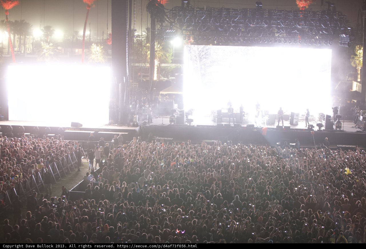 Rocking with the Crowd under the Lights