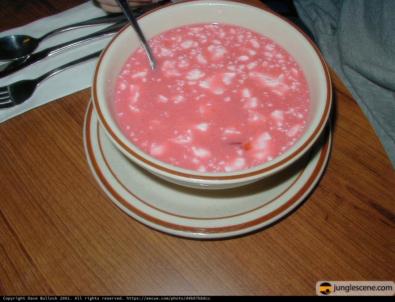 Pink Soup Bowl