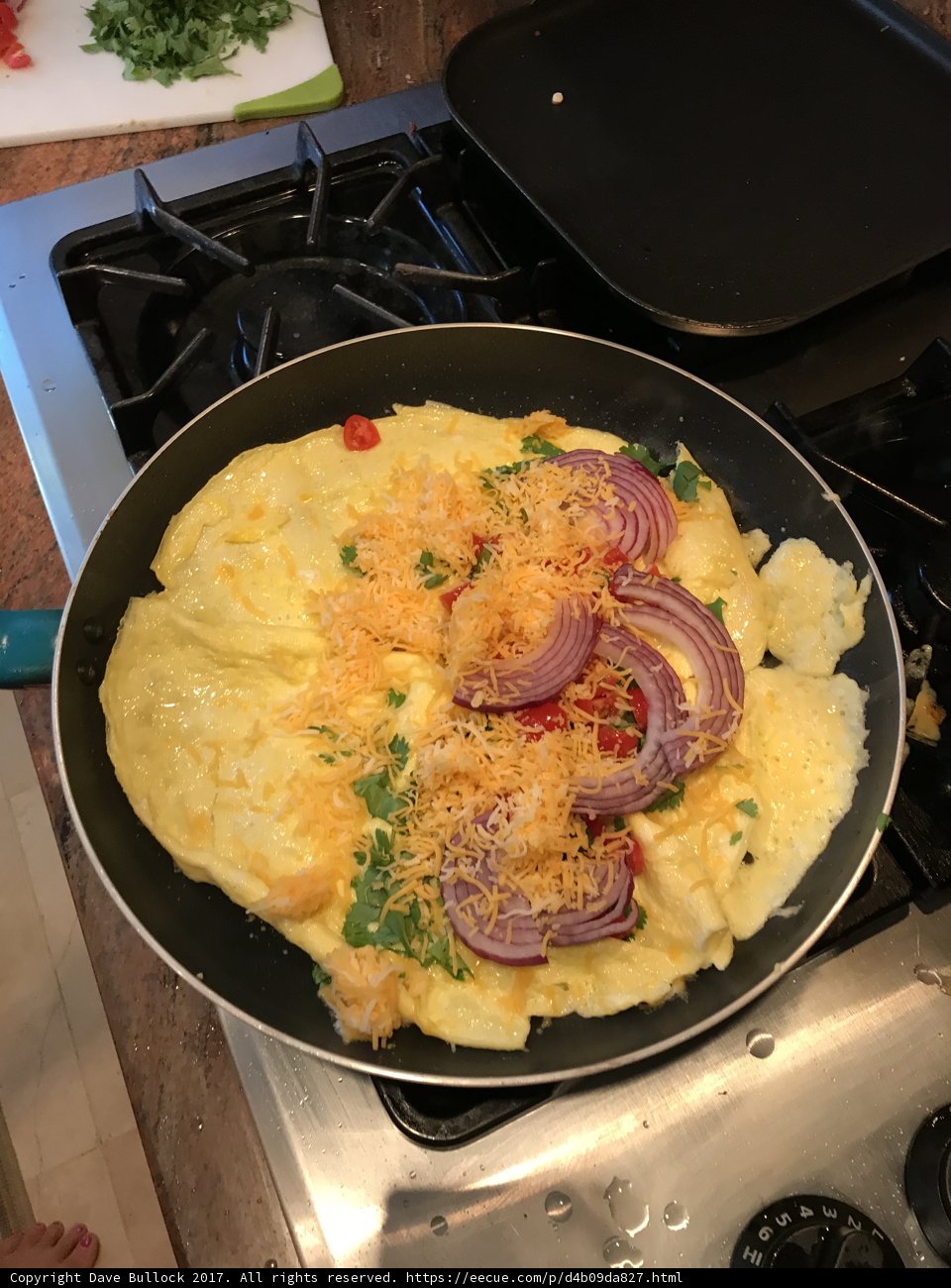 Sizzling Vegetable Omelet