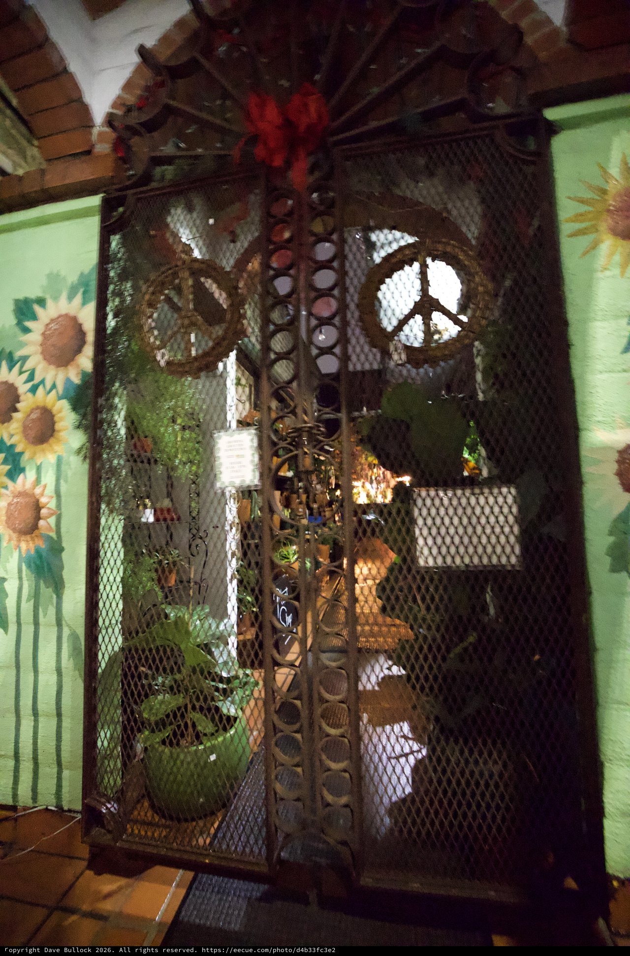 Eclectic Mesh Cage Display with Peace Symbol and Plants